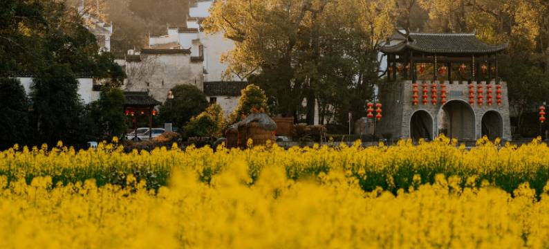 在荷间·婺源墅家百年故里西冲院图片