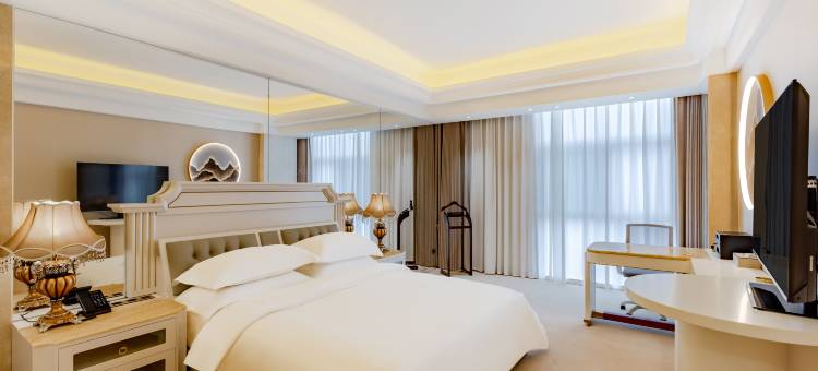 合肥蒂斯蓝顿国际酒店图片