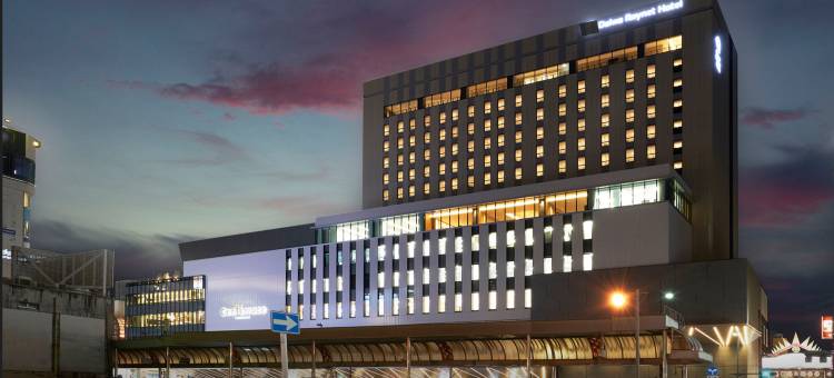 大和罗内特酒店鹿儿岛天文馆 PREMIER(Daiwa Roynet Hotel Kagoshima Tenmonkan PREMIER)图片