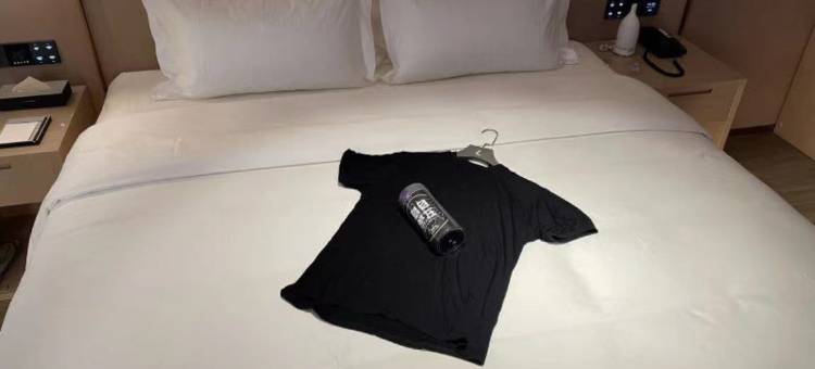 麗枫酒店(沈阳正阳街故宫怀远门地铁站店)图片