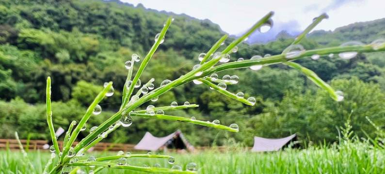 成都大邑DayDayUp牧场空间民宿图片