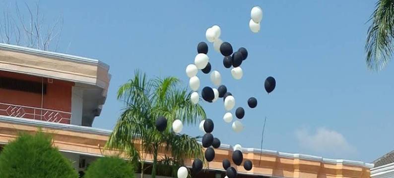 Bima酒店(Hotel Bima)图片