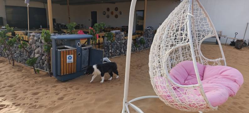 大星之夜沙漠露营酒店(东湖草原景区店)图片