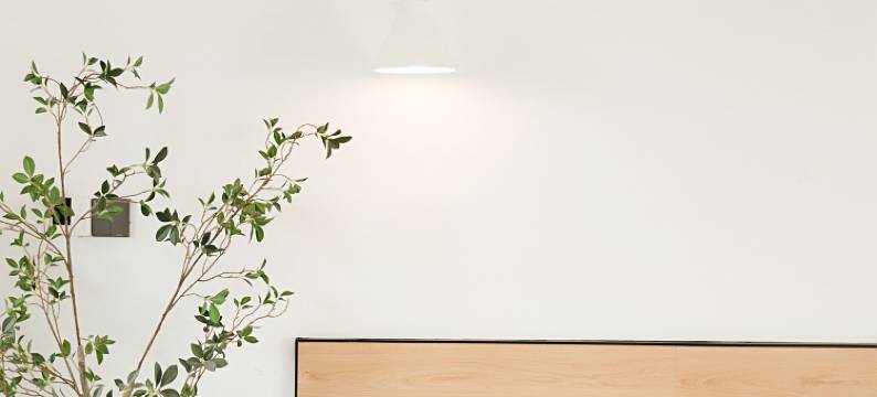 天余民宿(天台山国清景区店)图片