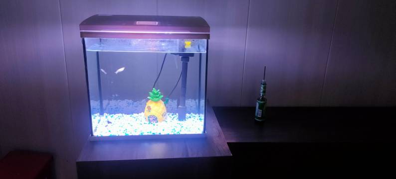 休宁家馨酒店图片