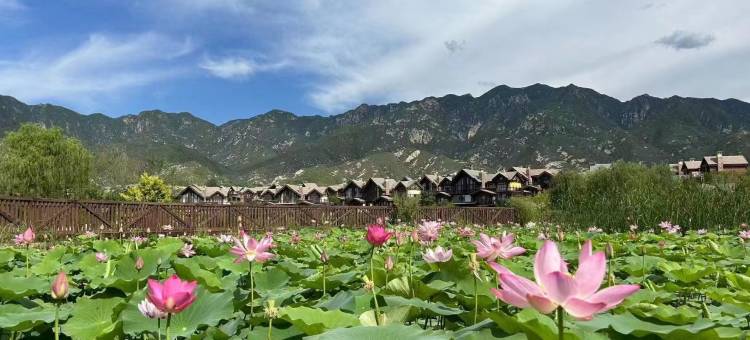 怀来原乡美利坚花山集民宿图片