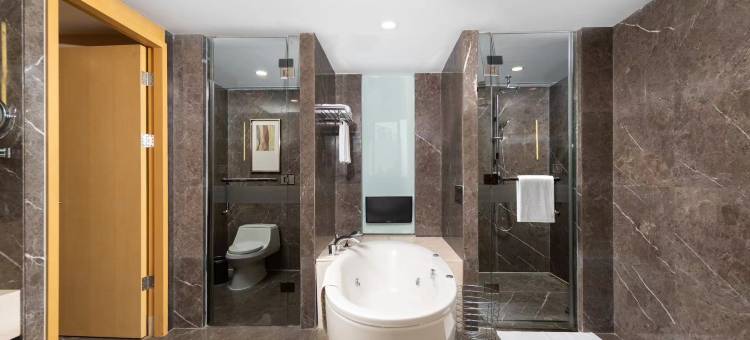 石家庄万象天成假日酒店图片