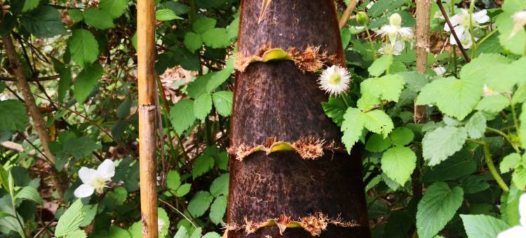 康乾云舍(宜兴老虎洞店)图片