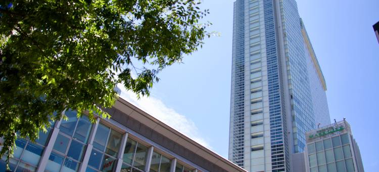 东急涩谷卓越大酒店(Shibuya Excel Hotel Tokyu)图片