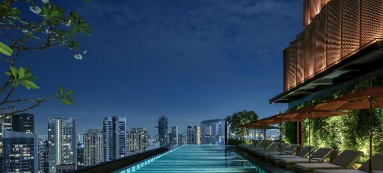 新加坡雅辰酒店(Artyzen Singapore)图片