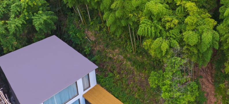 安吉·绿水青山民宿图片