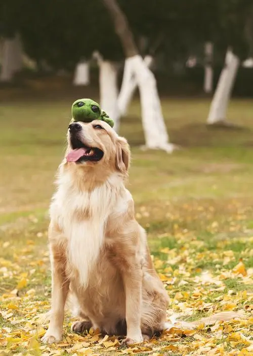 花筑·涠洲岛故渊民宿图片