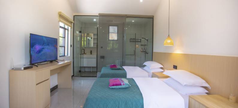 涠洲岛青林风庐私家花园海边度假美宿(贝壳沙滩店)图片