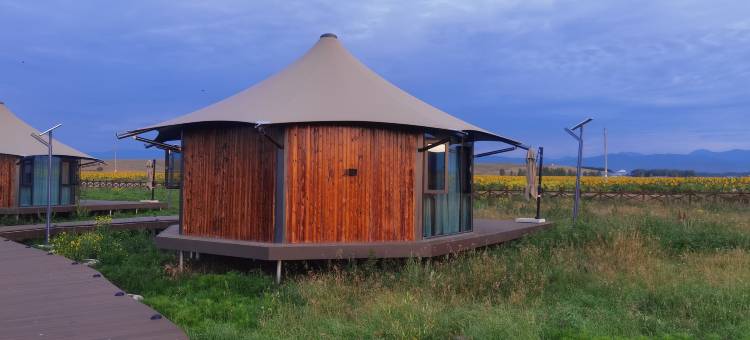 天马骑士野奢营地图片