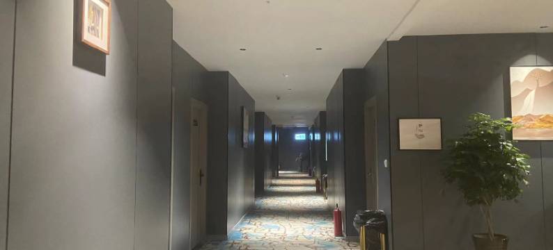 利辛富豪商务宾馆(五一广场店)图片