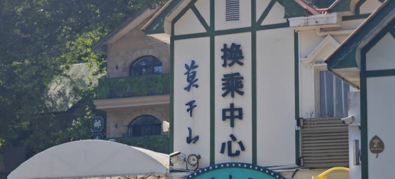 林墅酒店(莫干山景区内荫山街换乘处店)图片