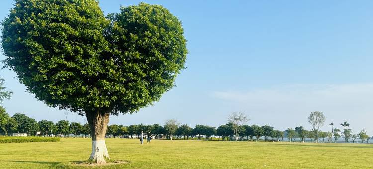 戴斯精选温德姆酒店(珠海情侣北路唐家古镇店)图片