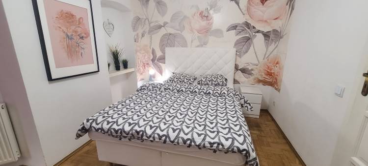 洛夫青年旅舍&公寓(Lorf Hostel&Apartments)图片