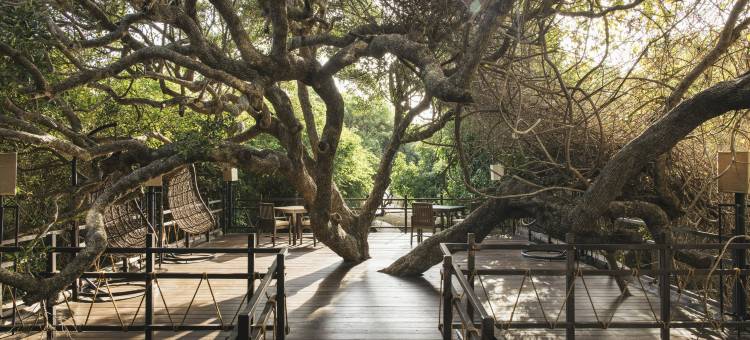 悠阁·林海墅(亭可马里)(Uga Jungle Beach - Trincomalee)图片