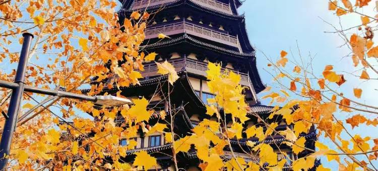 陶邑梨园酒店(陶溪川创意广场陶阳里店)图片