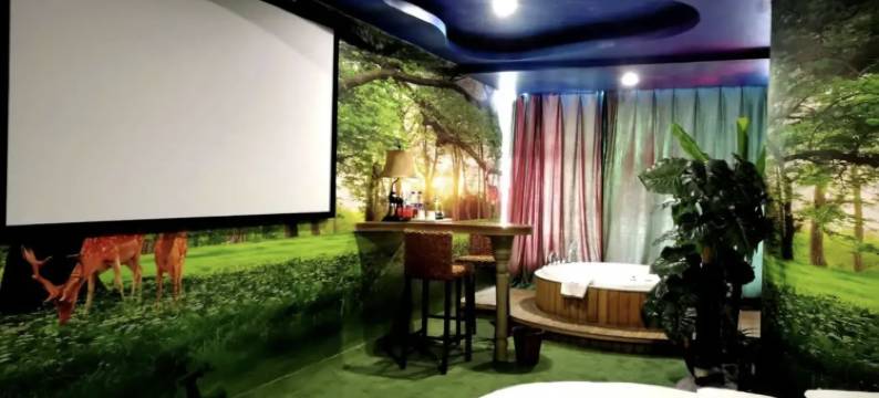 西宁天鹅恋情侣酒店图片