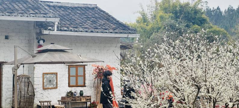 广州从化沐心涧民宿图片