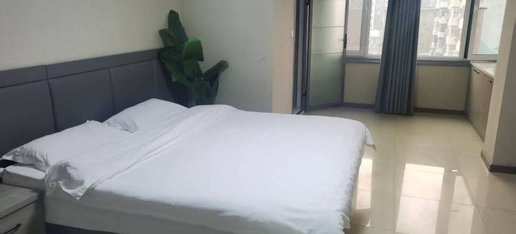 枫林轩民宿(沈阳中街故宫店)图片