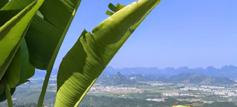上林众里寻她半山度假民宿图片