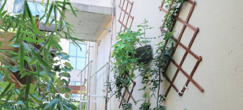 六盘水古月小栈民宿(六盘水市人民医院店)图片