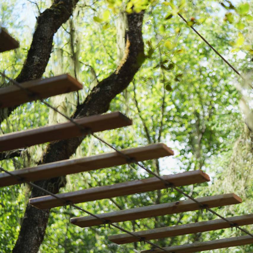 松赞百巴帐篷营地图片