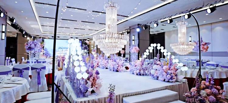 铁岭金城岳海国际酒店图片