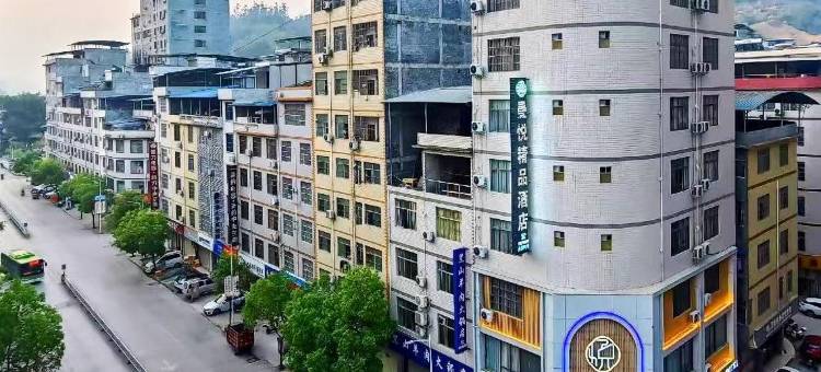曼悦精品酒店(百色田林汽车站店)图片
