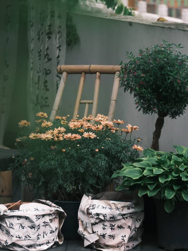 贵阳禧竹山房亲子民宿(青岩古镇西门店)图片