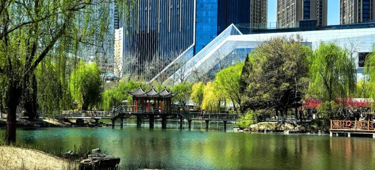 石家庄人民广场美居酒店图片