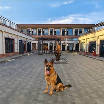 熔岩居•望峰墅LavaPeak Residence设计师美宿(乌兰哈达火山店)图片