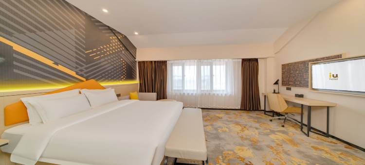 IU酒店(东平政务大厅东顺广场店)图片