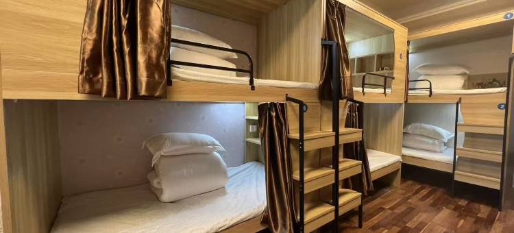 树小真青旅公寓(万虹广场店)图片