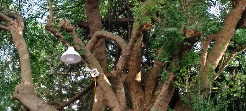 88 伊霍姆 内排机场(88 Ehome Noibai Airport)图片