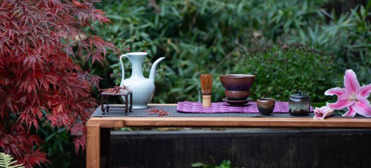 雲亼·曙光里图片