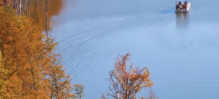 半亩梯田星空泳池度假美宿(皖南川藏线店)图片