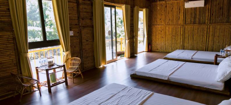 Little Bee House图片