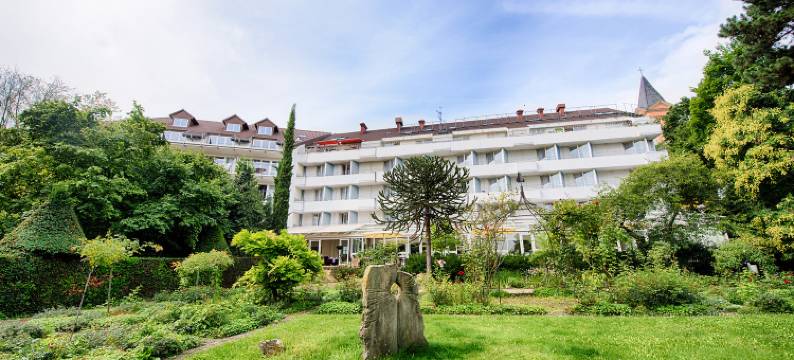 巴特迪克海姆 ACHAT 酒店(ACHAT Hotel Bad Dürkheim)图片