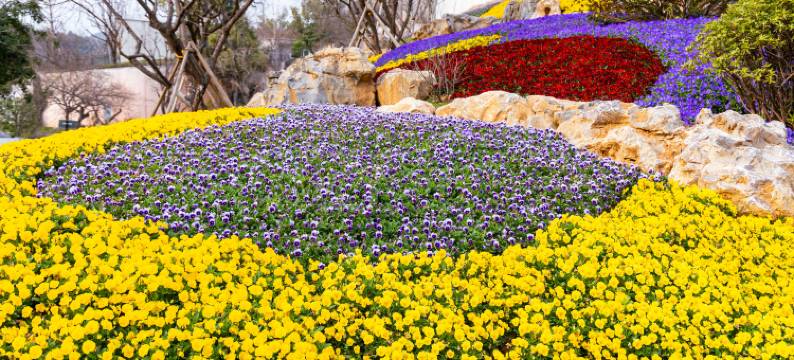 婺女洲度假区故园里酒店图片