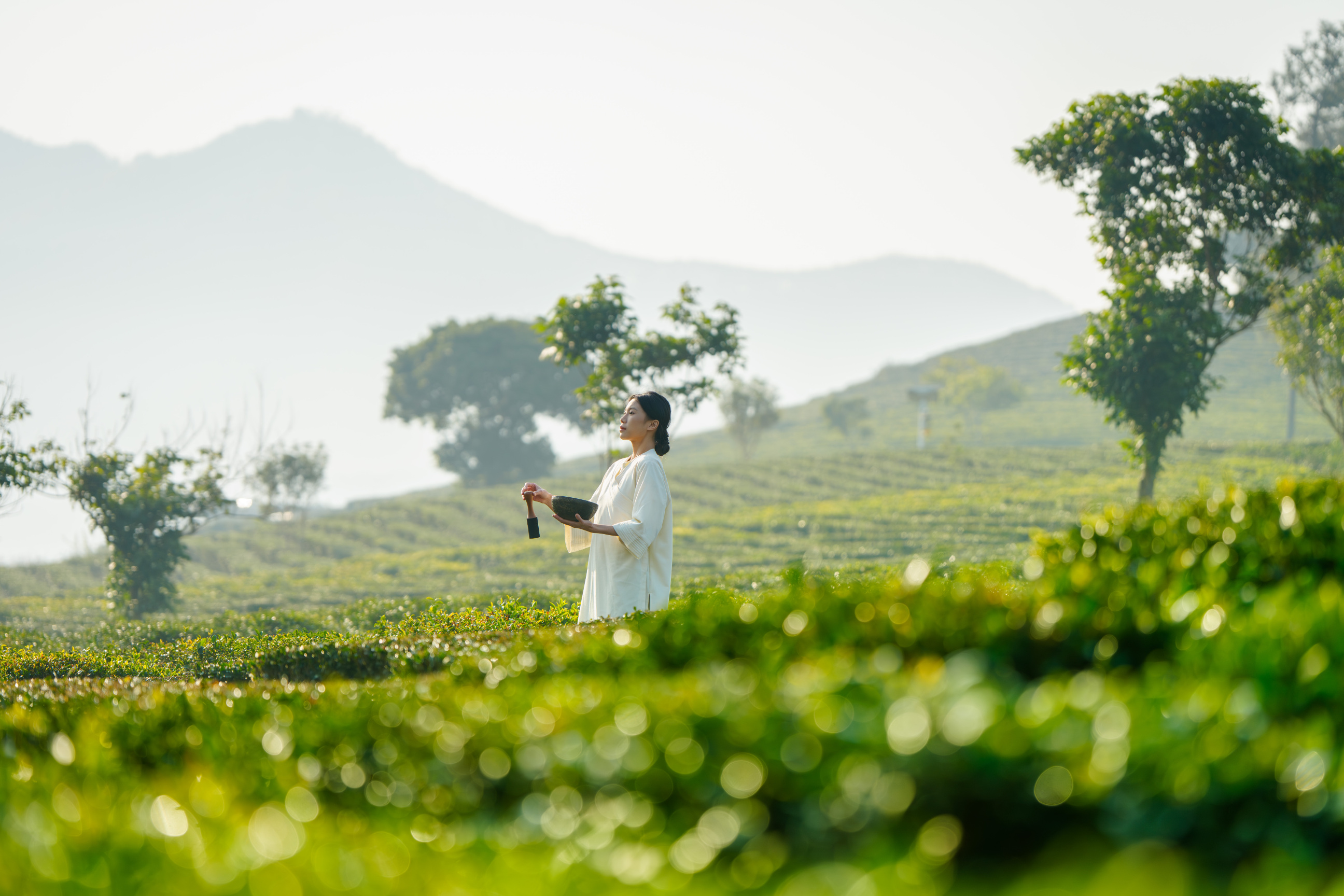 bynaked Hotel Boluo·Huizhou Hotel Overview