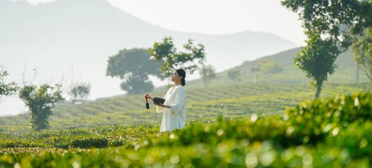 bynaked裸心惠州·博罗图片