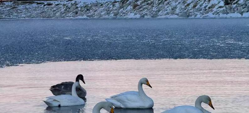 柏纳酒店(伊犁哈萨克自治州博物馆店)图片