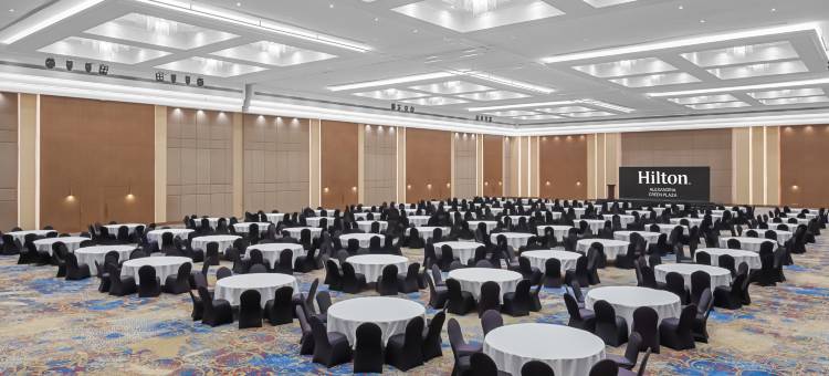 亚历山大绿色广场希尔顿酒店(Hilton Alexandria Green Plaza)图片