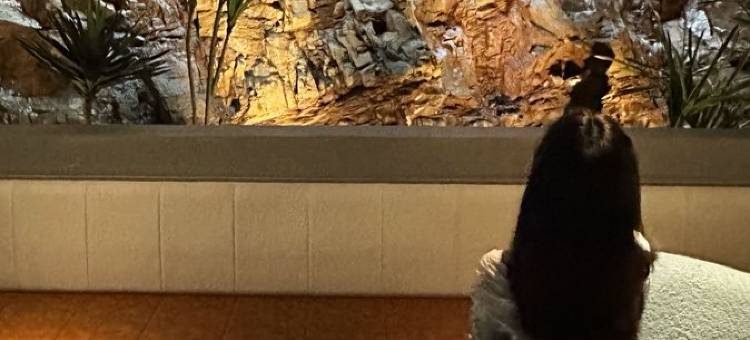 听涧·阳羡|廿三湾精品民宿(湖父二十三湾店)图片