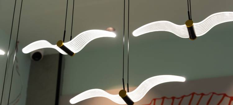 金沙贝壳酒店图片