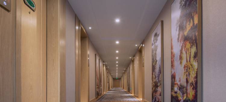 维也纳酒店(辰溪店)图片